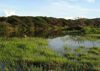 The main pond at the LVV birdwatching site.