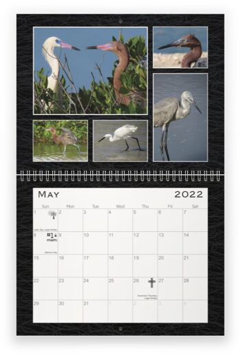 The Pure Bonaire Calendar 2022--The Birds of Bonaire