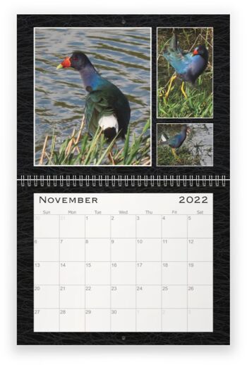 The Pure Bonaire Calendar 2022--The Birds of Bonaire