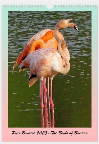 The Pure Bonaire Calendar 2023--The Birds of Bonaire